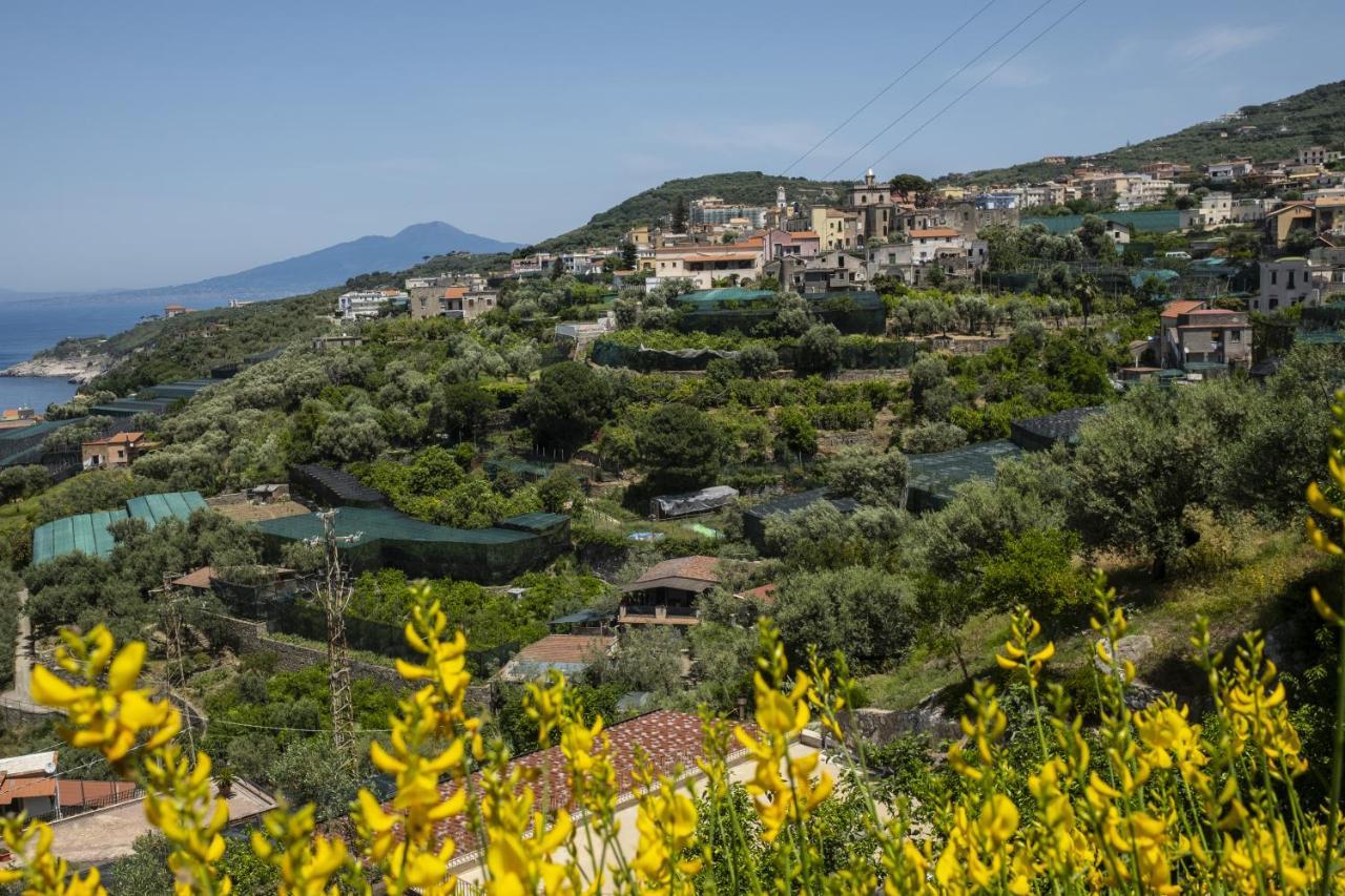 Neva Suites Massa Lubrense Sorrento Coast Exterior foto