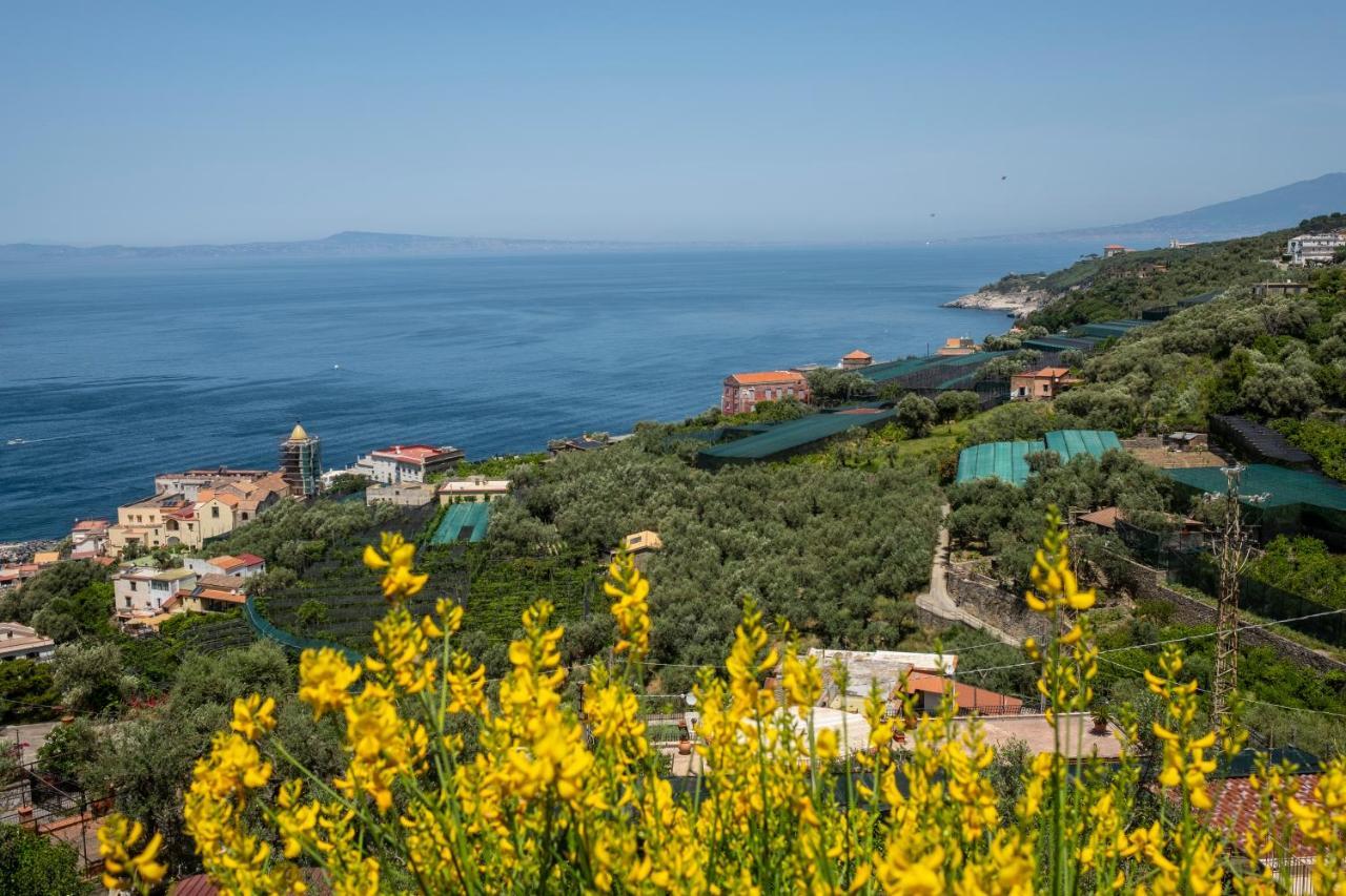 Neva Suites Massa Lubrense Sorrento Coast Exterior foto